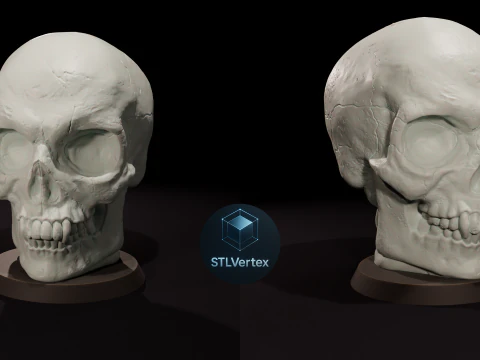 Skull 3D Printable Model 3D Model
