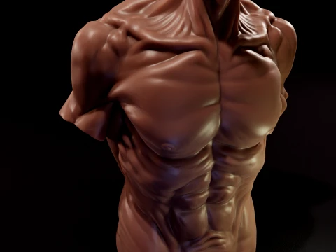 男性のトルソーキャンドル 3Dプリントモデル