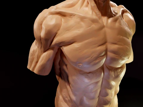 Muscular male torso candle 3D Print Model