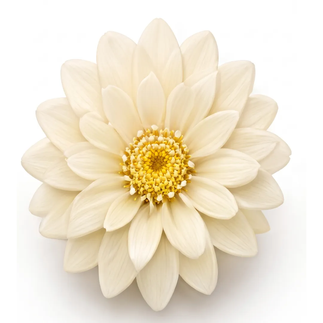 Elegant Calendula Blossom 3D Print Model .c4d .max .obj .3ds .fbx .stl .blend