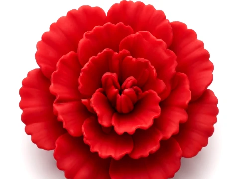 Vibrant Carnation Bloom 3D Druckmodell