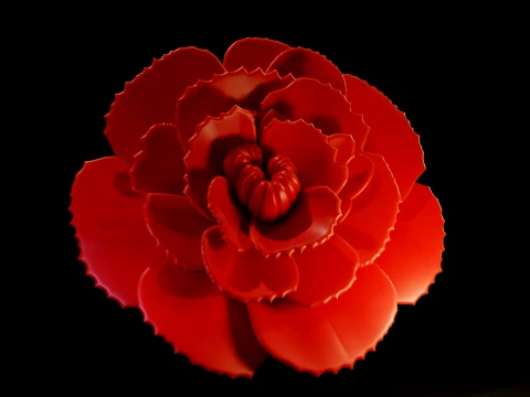 Vibrant Carnation Bloom 3D Print Model