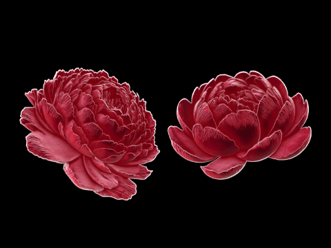 Relief 3D Model