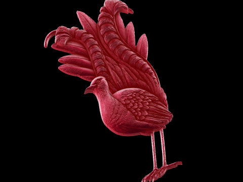 Relief 3D Model