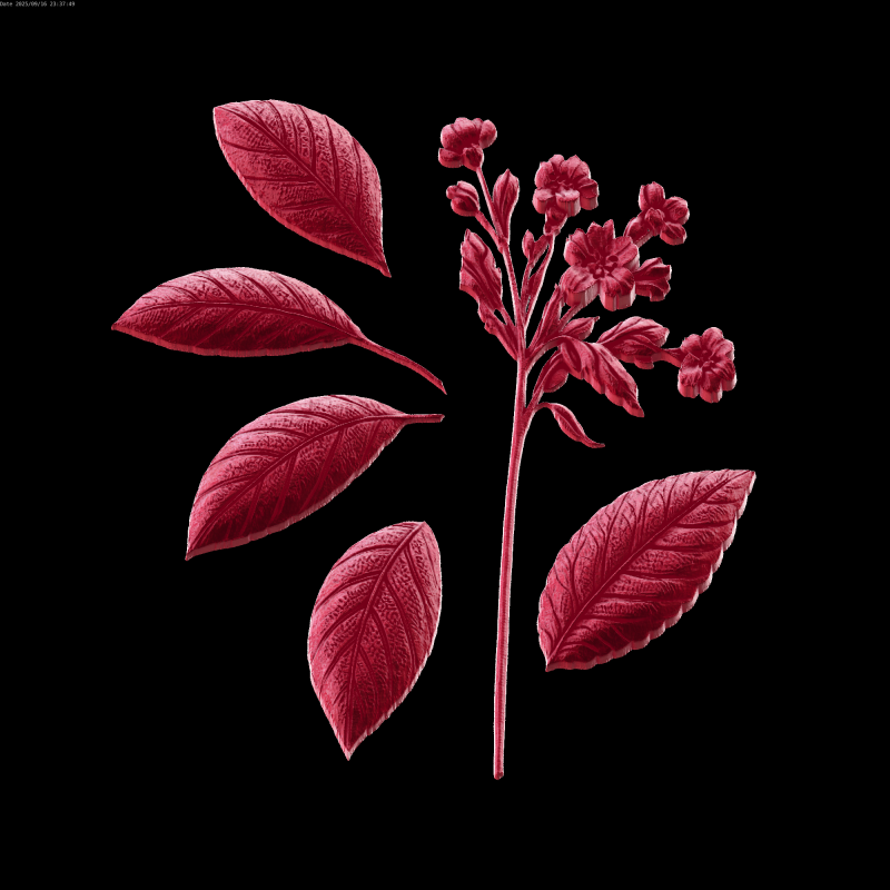 Relief 3D 模型 .c4d .max .obj .3ds .fbx .stl .blend 