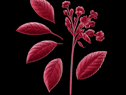 Relief 3D Model