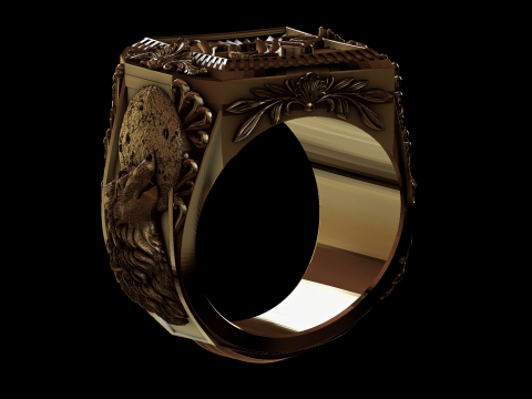 Relief 3D Model