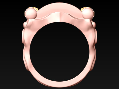 Gatekeeper Ring - Temple rings - Dark ring - N816854 Modelo de Impressão 3D