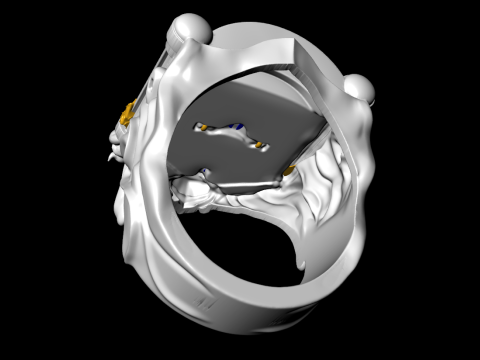Gatekeeper Ring - Temple rings - Dark ring - N816854 Modelo de Impressão 3D