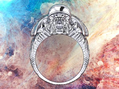 Dark Ring - Devil Ring - Beast Ring - Alien Ring - N918329 3Dプリントモデル