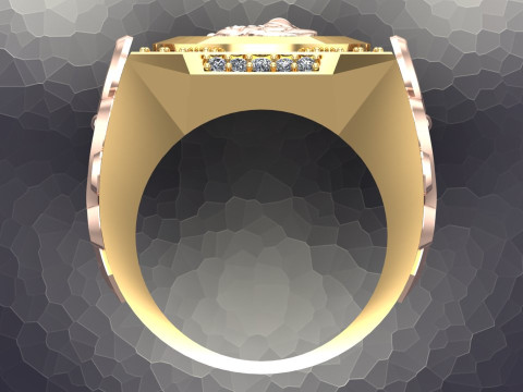 Dragon Rings - Patterned Rings - Mens ring - N1002 3D Принт Модель