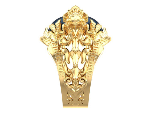 Dragon Ring - Oval Mens Ring - N334 3D 打印模型