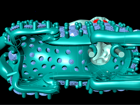 独角兽吊坠 - 貔貅吊坠 - N510 3D 打印模型