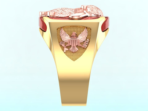 Eagle ring - Mens Eagle ring - Bird ring - Mens ring - N843 3D printmodel