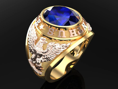Army Ring - Eagle Ring - War ring - Air Force United - N337 3D Print Model