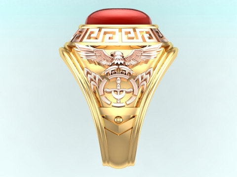 Eagle ring - War rings - Army ring - Mens oval stone ring - N900 Model Cetak 3D