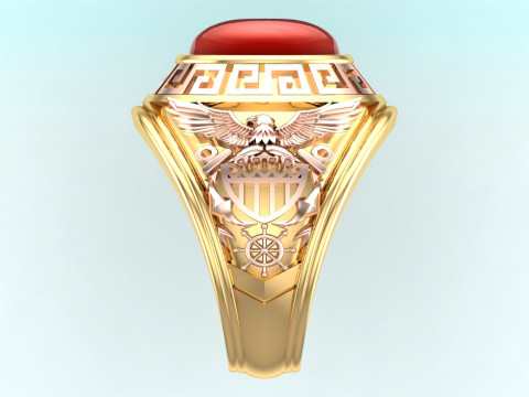Eagle ring - War rings - Army ring - Mens oval stone ring - N900 Model Cetak 3D