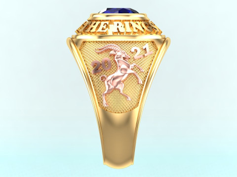 Goat Rings - War Rings - Army ring - Mens ring - N646 3D प्रिंट मॉडल