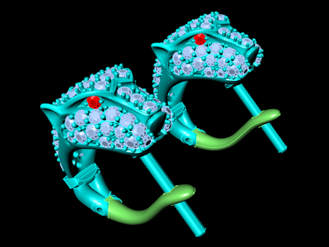 豹头耳环 - 豹纹耳环 - 猎豹耳环 - N6165 3D 打印模型
