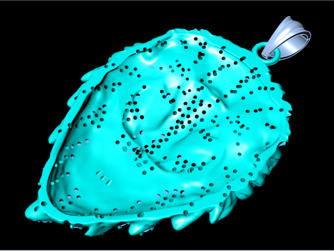Ciondolo leone - Ciondolo leopardo - Ciondolo tigre - N6148 Modello di stampa 3D