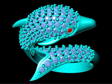 Dolphin ring - Fish Ring - Diamond ring - Womens Rings - N172 3D Print Model