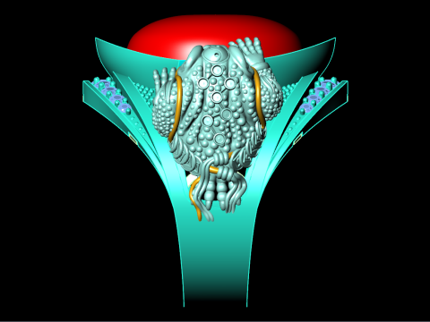 Toad ring - Double Toad ring - Mens oval stone ring - N627 3D Print Model