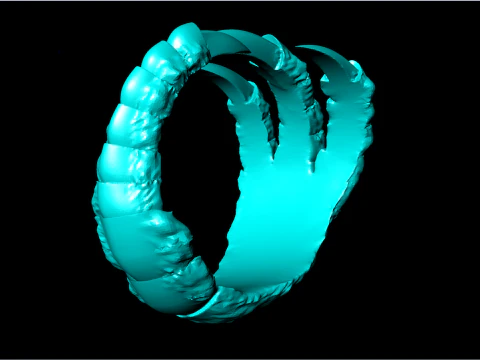 Claw ring - Eagle claw ring - Mens ring - N619 3D Print Model