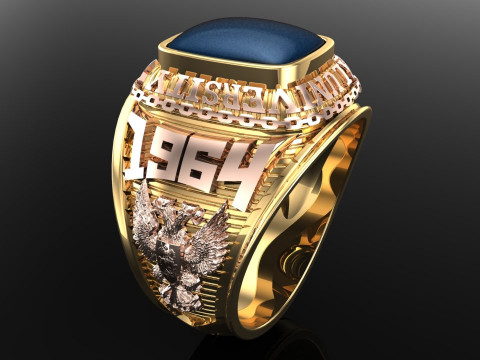 Anillo de guerra - Anillo del ej&eacute;rcito - Anillo de &aacute;guila - Anillo de hombre - N350 Modelo de impresión 3D