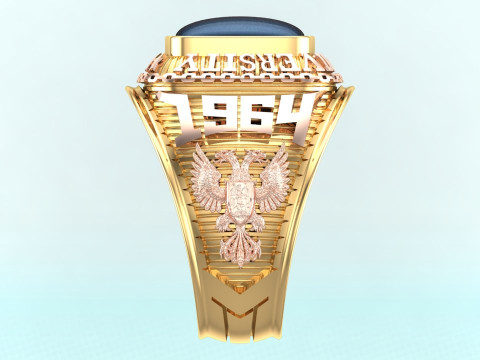 Anillo de guerra - Anillo del ej&eacute;rcito - Anillo de &aacute;guila - Anillo de hombre - N350 Modelo de impresión 3D