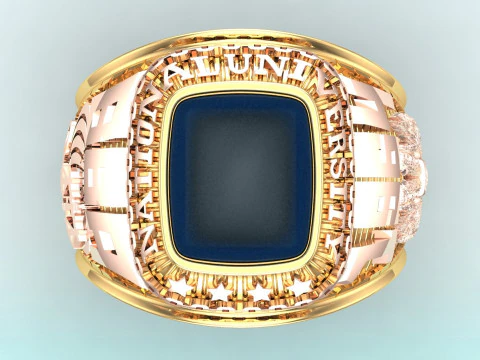War ring - Army ring - Eagle ring - Mens ring - N350 3D Print Model