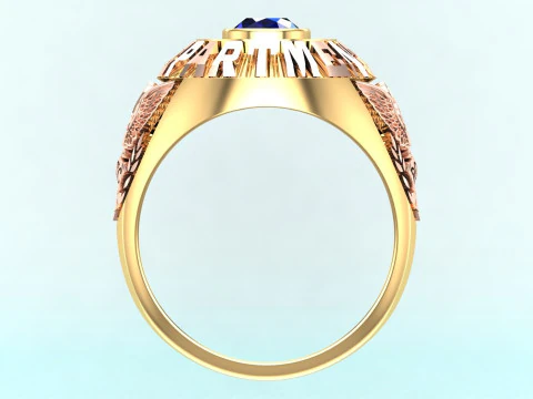 War rings - Army rings - Police ring - N1147 3D Print Model