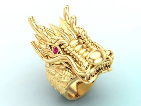 Dragon ring - Men ring - N253 3D Print Model