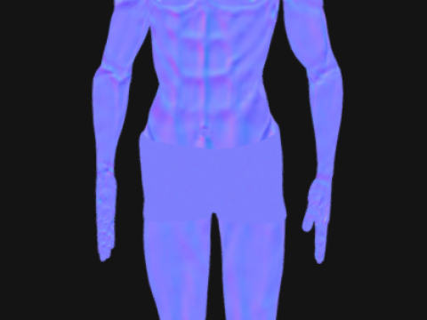 Animated Full Human Body Anatomy Modello 3D