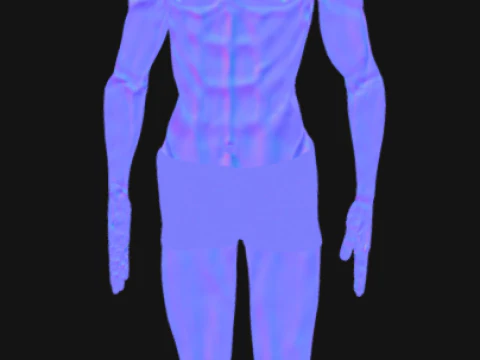Animated Full Human Body Anatomy 3D Model