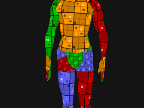 Animated Full Human Body Anatomy Modello 3D