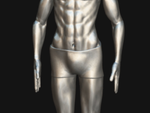 Animated Full Human Body Anatomy Modello 3D