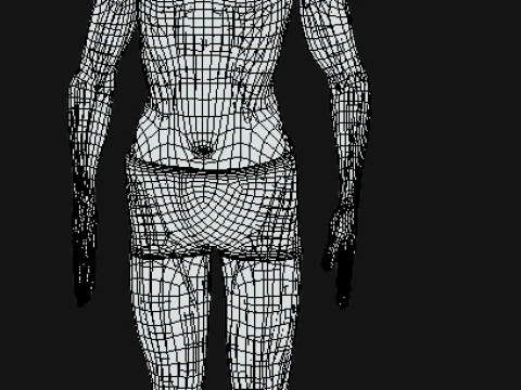 Animated Full Human Body Anatomy 3D Model