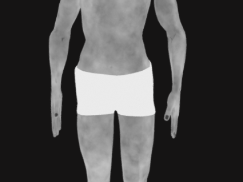 Animated Full Human Body Anatomy Modello 3D