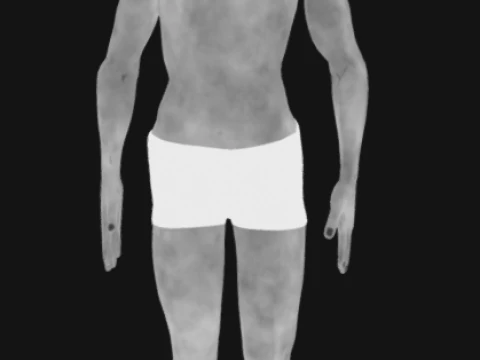 Animated Full Human Body Anatomy 3D Model