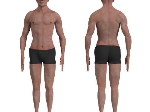 动画完整人体解剖学 3D 模型