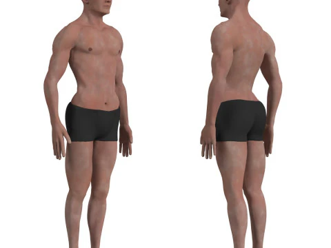 Anatomi Tubuh Manusia Lengkap Animasi Model 3D