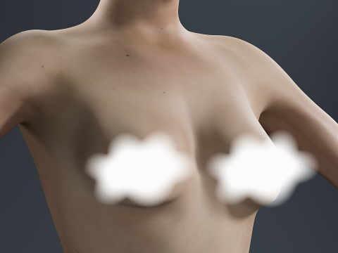 Female Complete Anatomy 3D Model