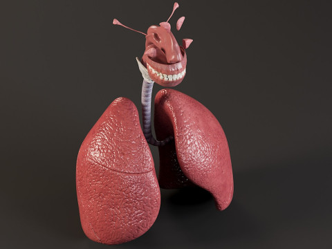 Female Complete Anatomy 3D Model