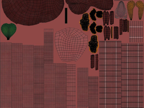 Female Complete Anatomy 3D Model