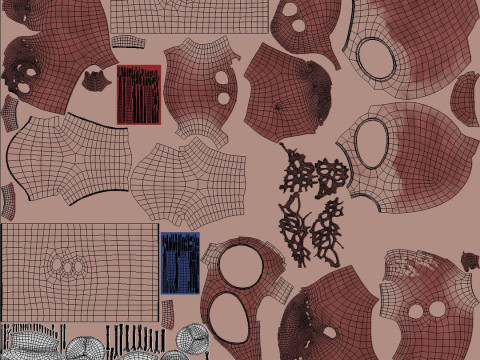 Female Complete Anatomy 3D Model