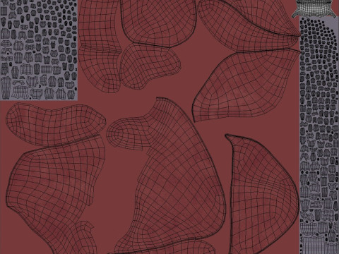 Female Complete Anatomy 3D Model