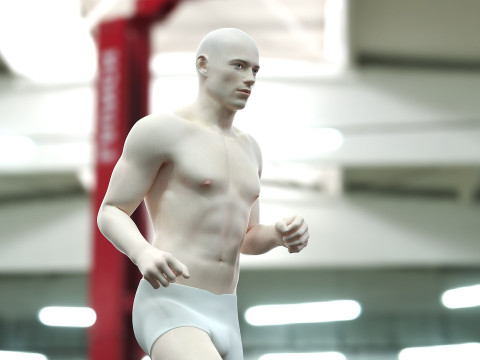 男性と女性の完全な解剖学 3Dモデル