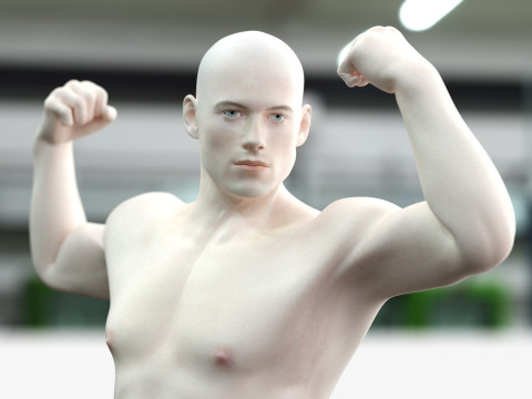 男性と女性の完全な解剖学 3Dモデル