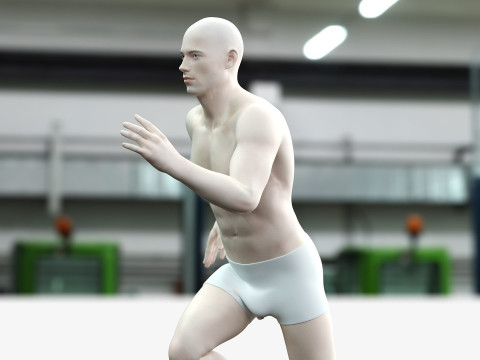 男性と女性の完全な解剖学 3Dモデル