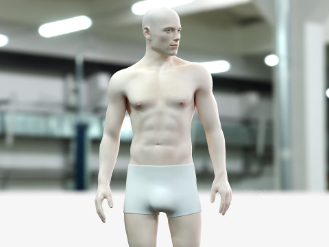 男性と女性の完全な解剖学 3Dモデル